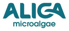 Aliga alp