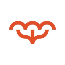 Logo KIDEMIS transp