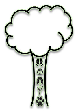 Play Wel Logo